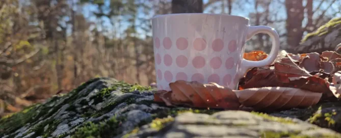 Online vodena gozdna terapija ob zimskem solsticiju