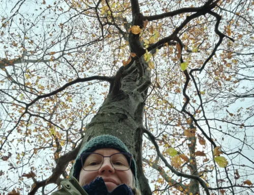 Ali drevesa čutijo človeško ljubezen?