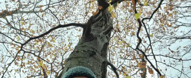 Katarina in njena prijateljica bukev